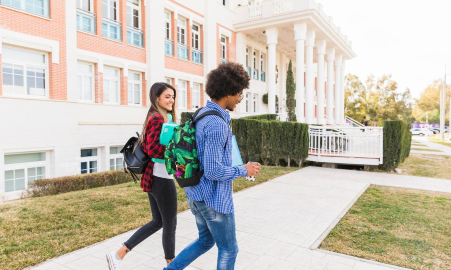 Young professional reviewing financial documents at modern workspace